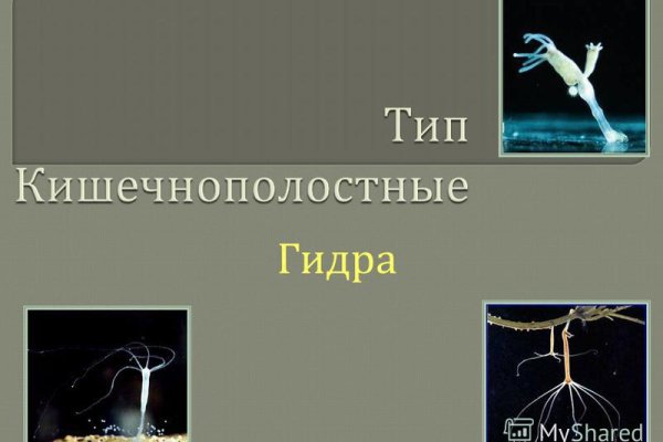 Кракен сайт